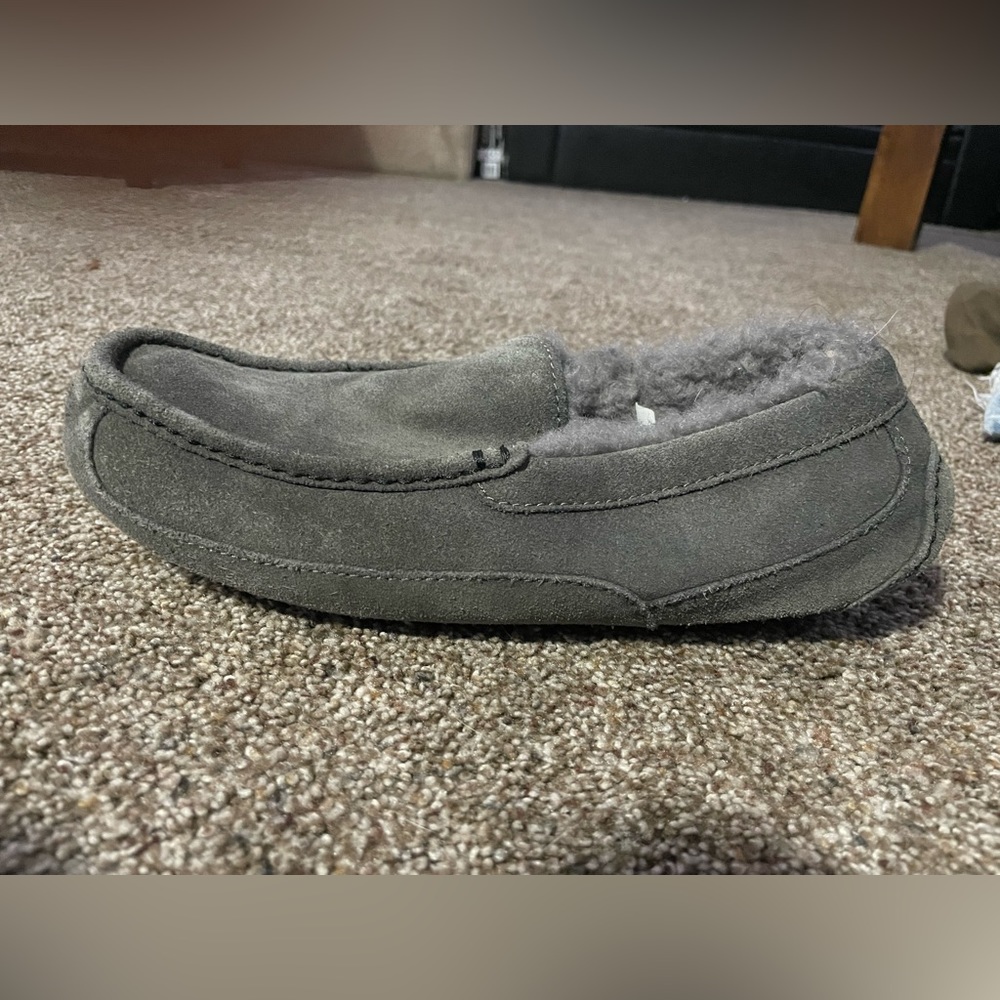Ugg men slippers